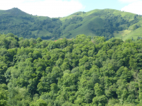 Eff251f764c58ddfae16e15fbf3d83d9