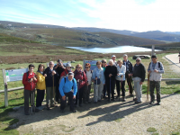 F09f7ed1f59ce5f9bc59a800be9a6699