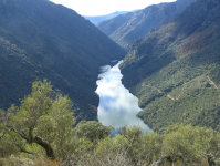 F16a705cb84e3df50d8e04dbc2a9ba57