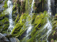 F19b17781c77ac1308f690b4ca1caf12