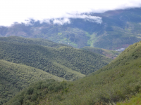 F1ae4286d3bc2fabf37a5505307a34a9