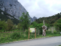 F29cf1a250420f8932fd053b08bbe1bd