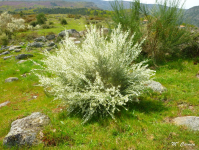 F32e7089f906a8573df5ebc873380c2a