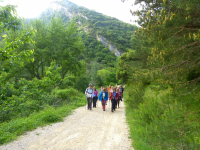 F3f8f20bc0788e213ac881c0b92f69a6