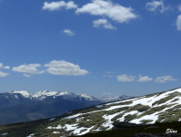 F58de14162e5a4a14930d396f4554ad0