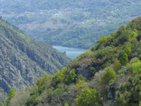 F61ece212367db8e507ad9635f9b86e7