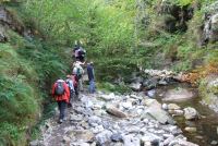 F79334cd7734c41c5a68b30b6186c0ab