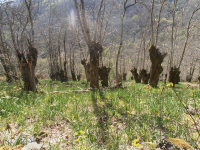 F7d4ed2a11c02a4841d7f545ddc380c2