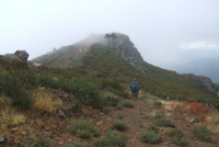 F91703d46eb8d89533b51af3feb603c6