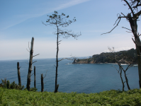 F95764c58de50fd7c86a1cbbd62e66c5