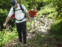 Fa878168d6433a097904141716f4b030