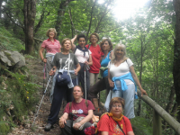 Fb16de865e69574ca5cc5d0a6834d621