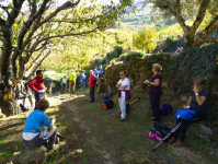 Fe96200ca541681b4991f1d8ca9edb5f