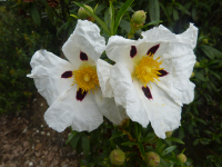 Ffb043ae28836206c29621f4755ebe84